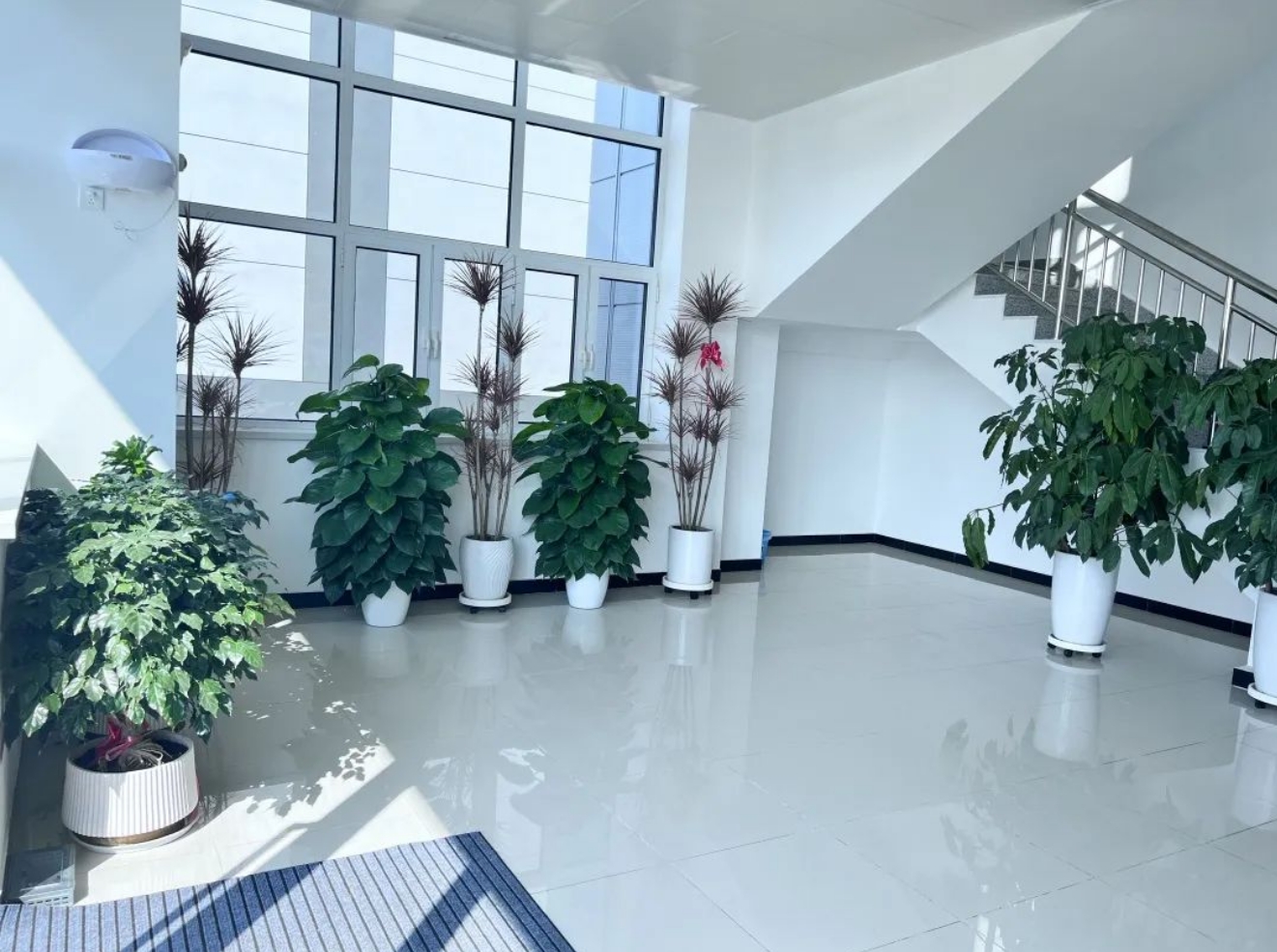 武汉风味“老品牌”进武清，来尝！(图7)