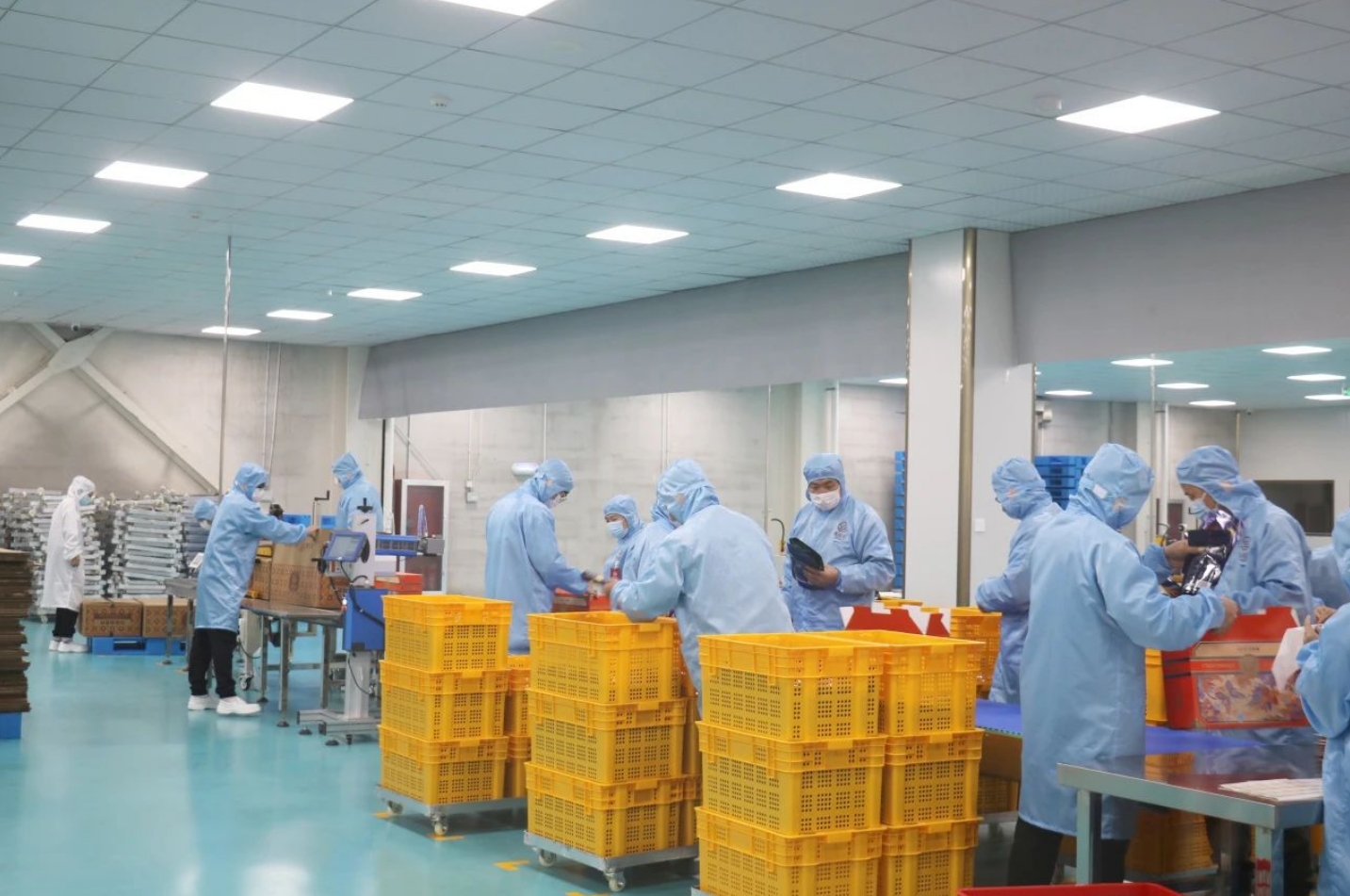 年产值1.5亿元！集味轩盛大开业！(图4)